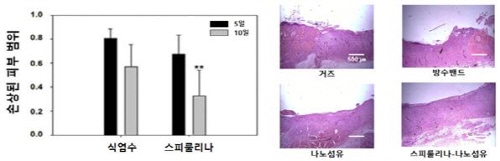 ��� ���� ���� �̹���