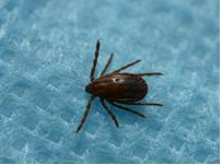 ��� ���� ���� �̹���