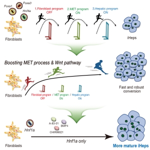 ��� ���� ���� �̹���