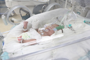 ��� ���� ���� �̹���