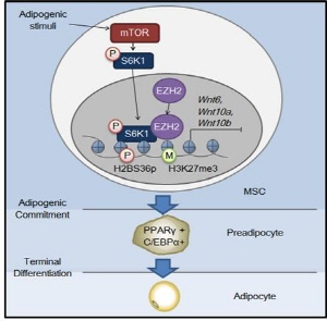 ��� ���� ���� �̹���