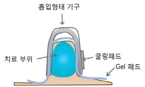    ̹
