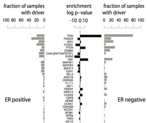 ��� ���� ���� �̹���