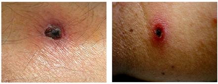 ��� ���� ���� �̹���