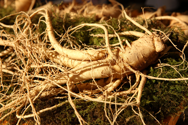 ��� ���� ���� �̹���