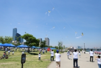 ��� ���� ���� �̹���