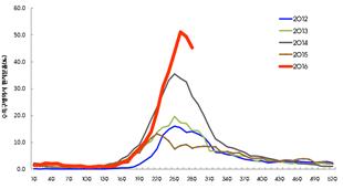 ��� ���� ���� �̹���