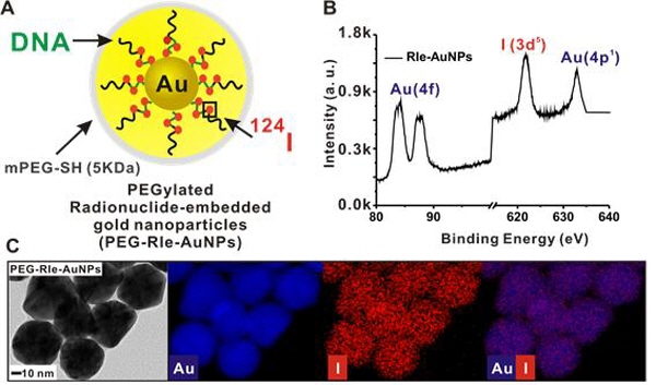 ��� ���� ���� �̹���