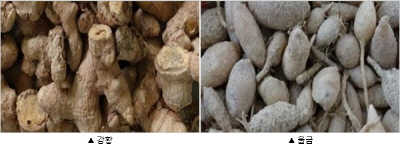 ��� ���� ���� �̹���