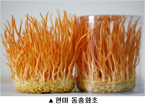 ��� ���� ���� �̹���