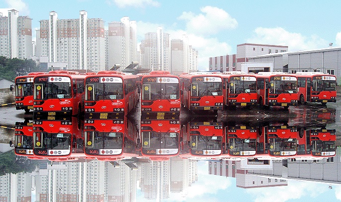 ��� ���� ���� �̹���