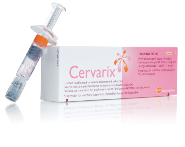 ��� ���� ���� �̹���