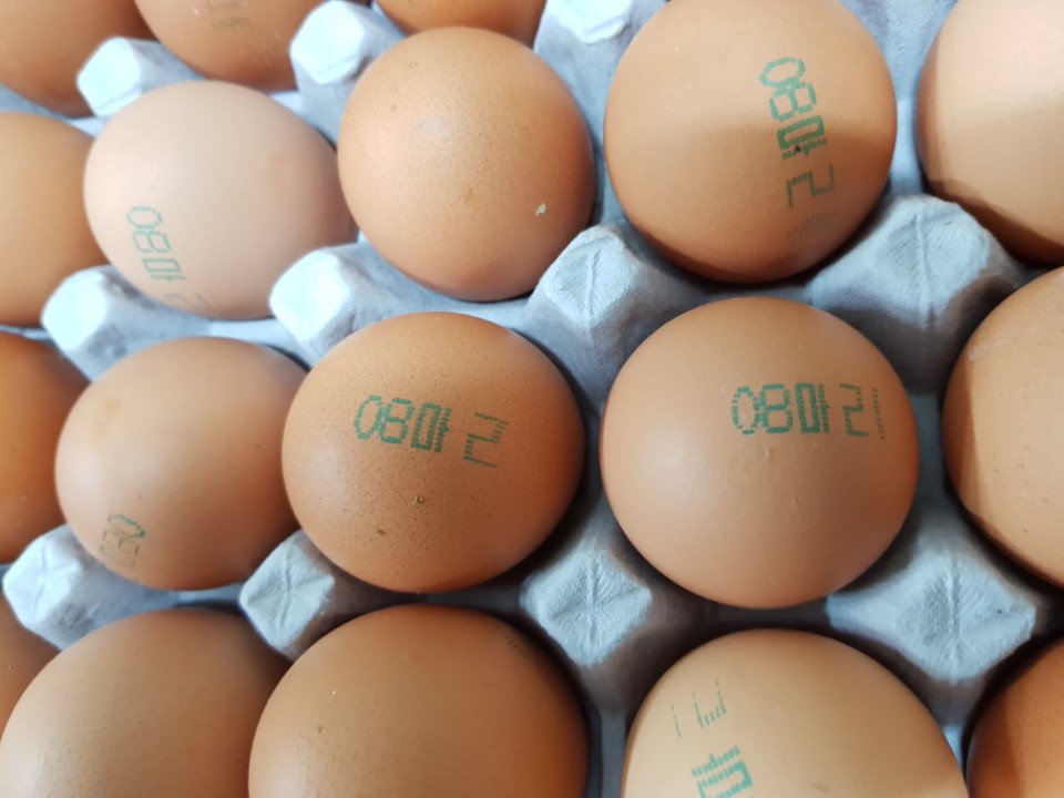 ��� ���� ���� �̹���