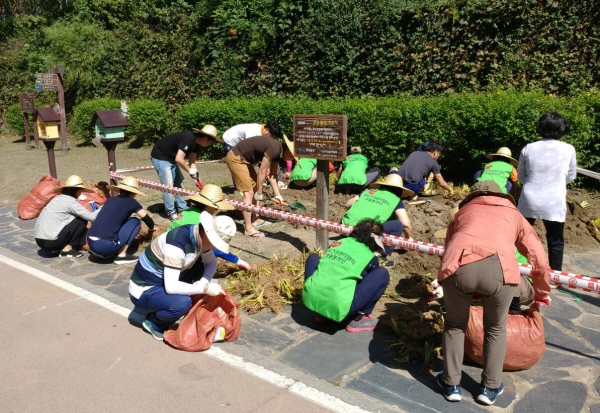 ��� ���� ���� �̹���