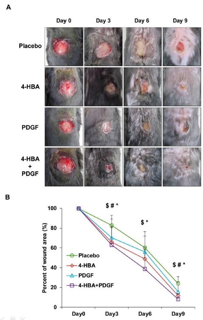 ��� ���� ���� �̹���