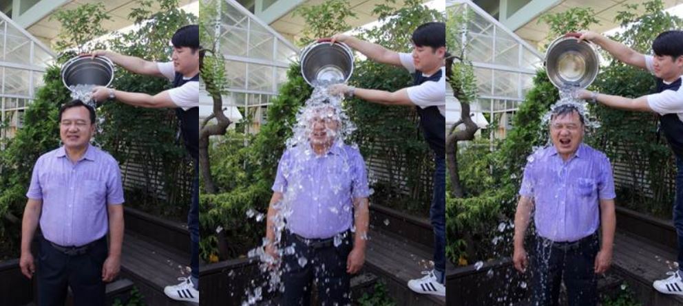 ��� ���� ���� �̹���