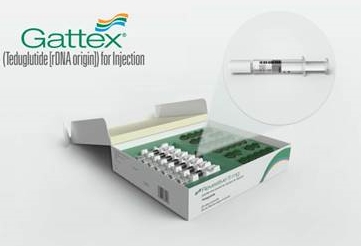 ��� ���� ���� �̹���