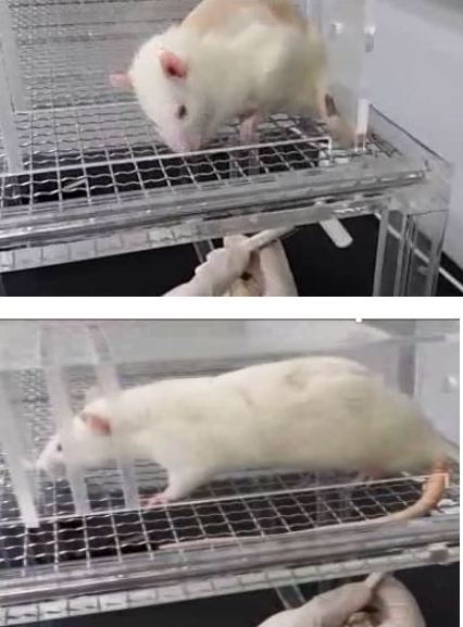 ��� ���� ���� �̹���