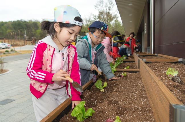 ��� ���� ���� �̹���