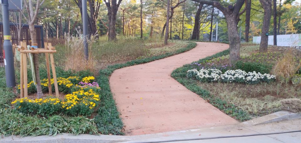 ��� ���� ���� �̹���