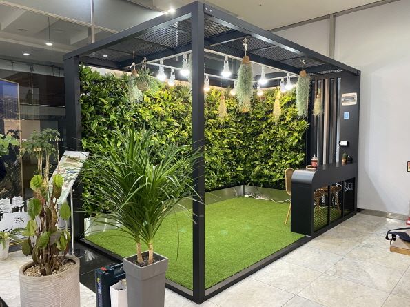 ��� ���� ���� �̹���