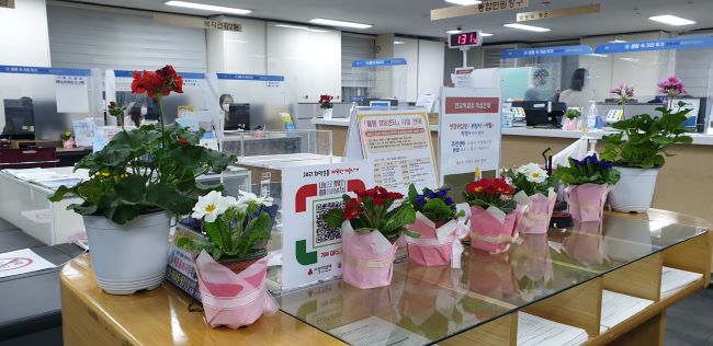 ��� ���� ���� �̹���