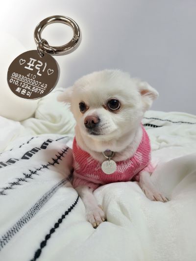 ��� ���� ���� �̹���