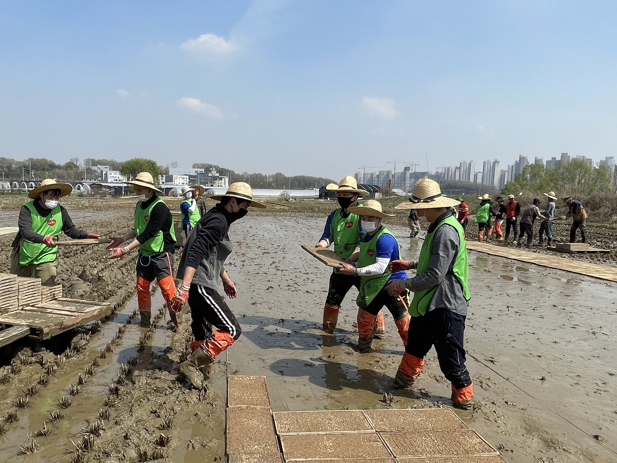 ��� ���� ���� �̹���