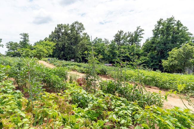 ��� ���� ���� �̹���