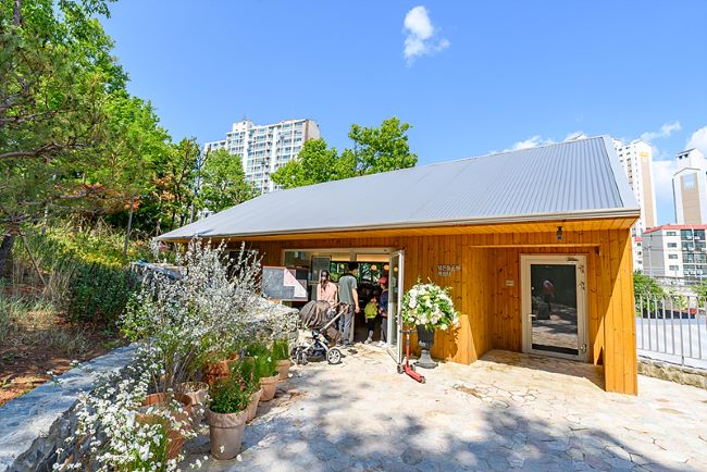 ��� ���� ���� �̹���