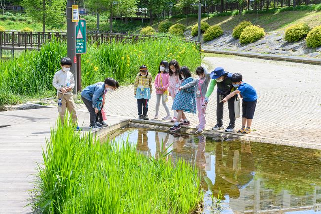 ��� ���� ���� �̹���