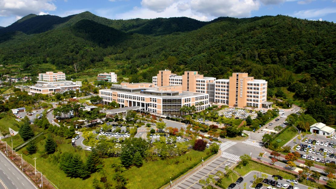 ��� ���� ���� �̹���