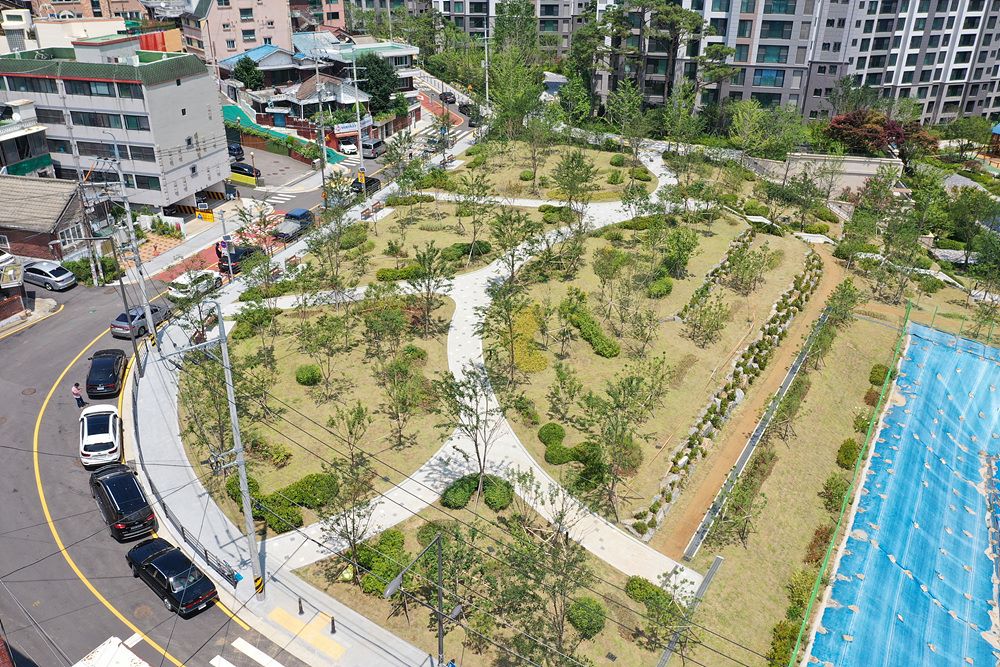 ��� ���� ���� �̹���