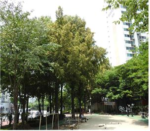 ��� ���� ���� �̹���