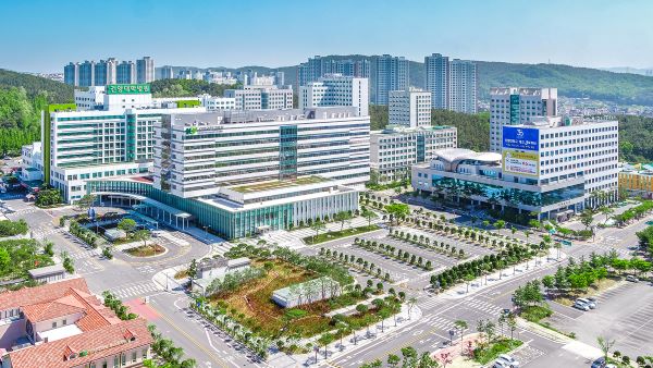 ��� ���� ���� �̹���