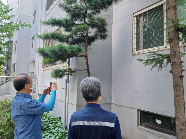 ��� ���� ���� �̹���