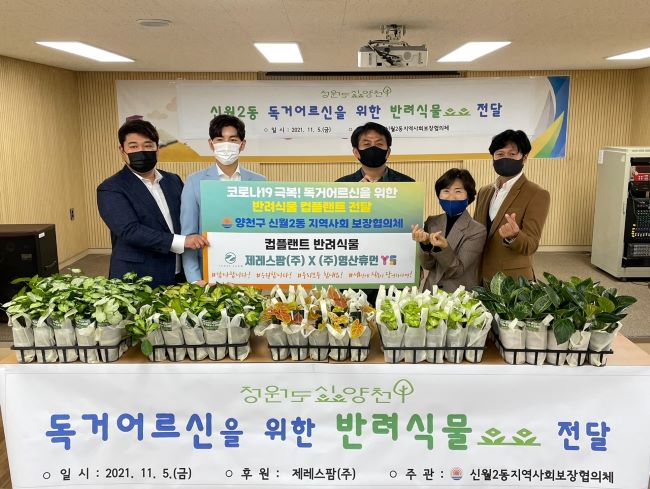 ��� ���� ���� �̹���