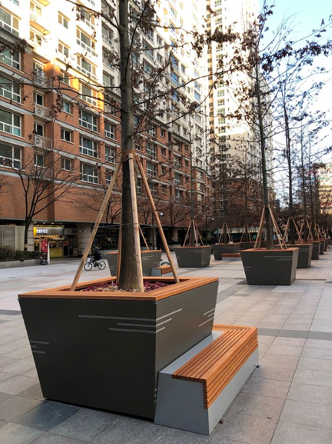 ��� ���� ���� �̹���