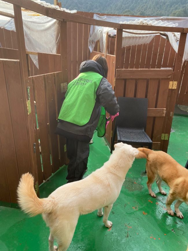 ��� ���� ���� �̹���