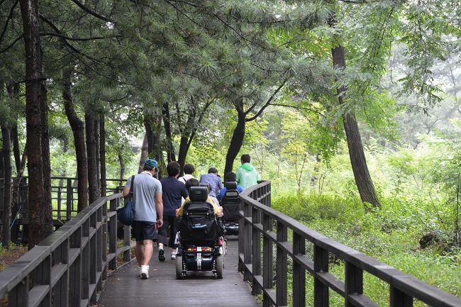 ��� ���� ���� �̹���